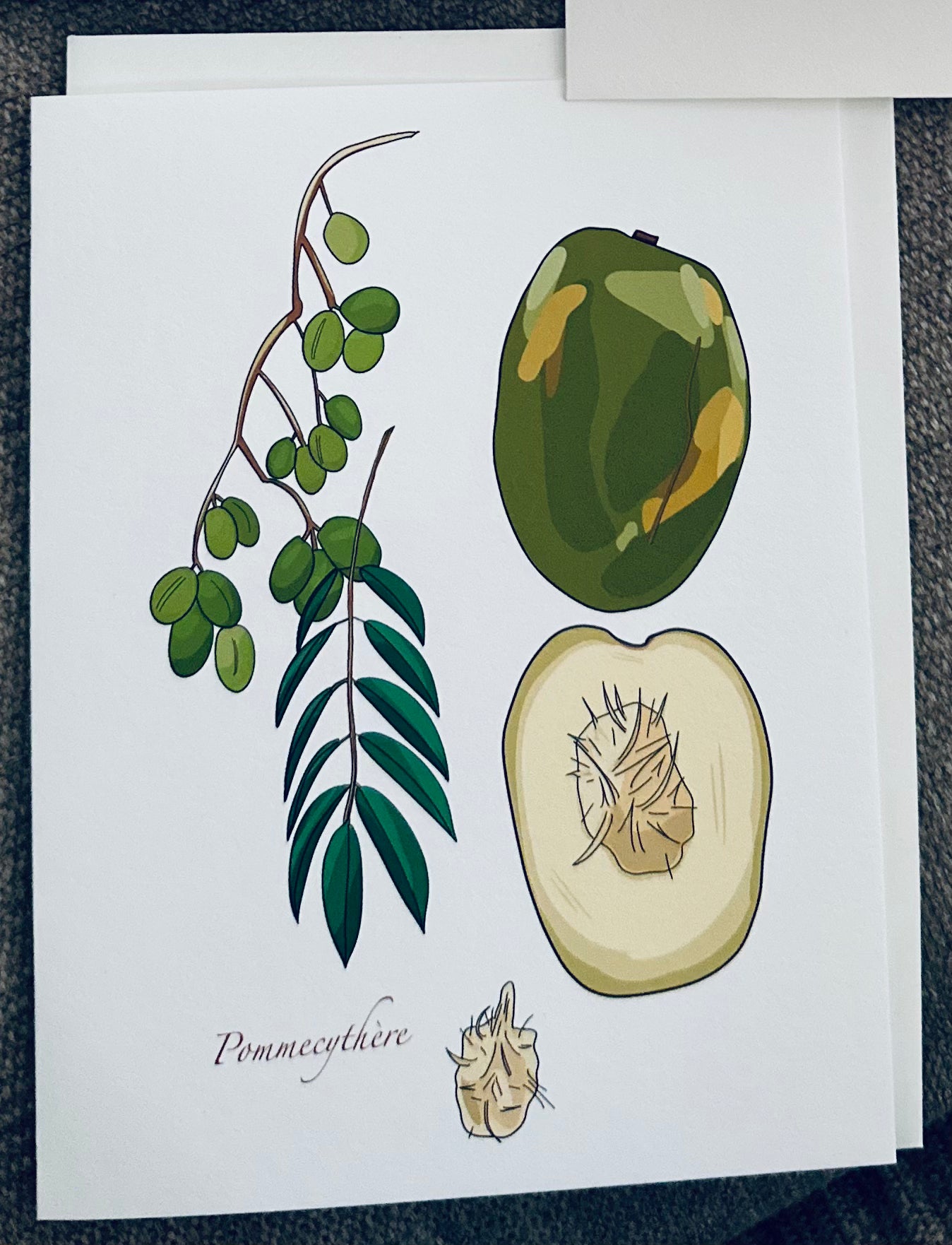 Greeting Cards