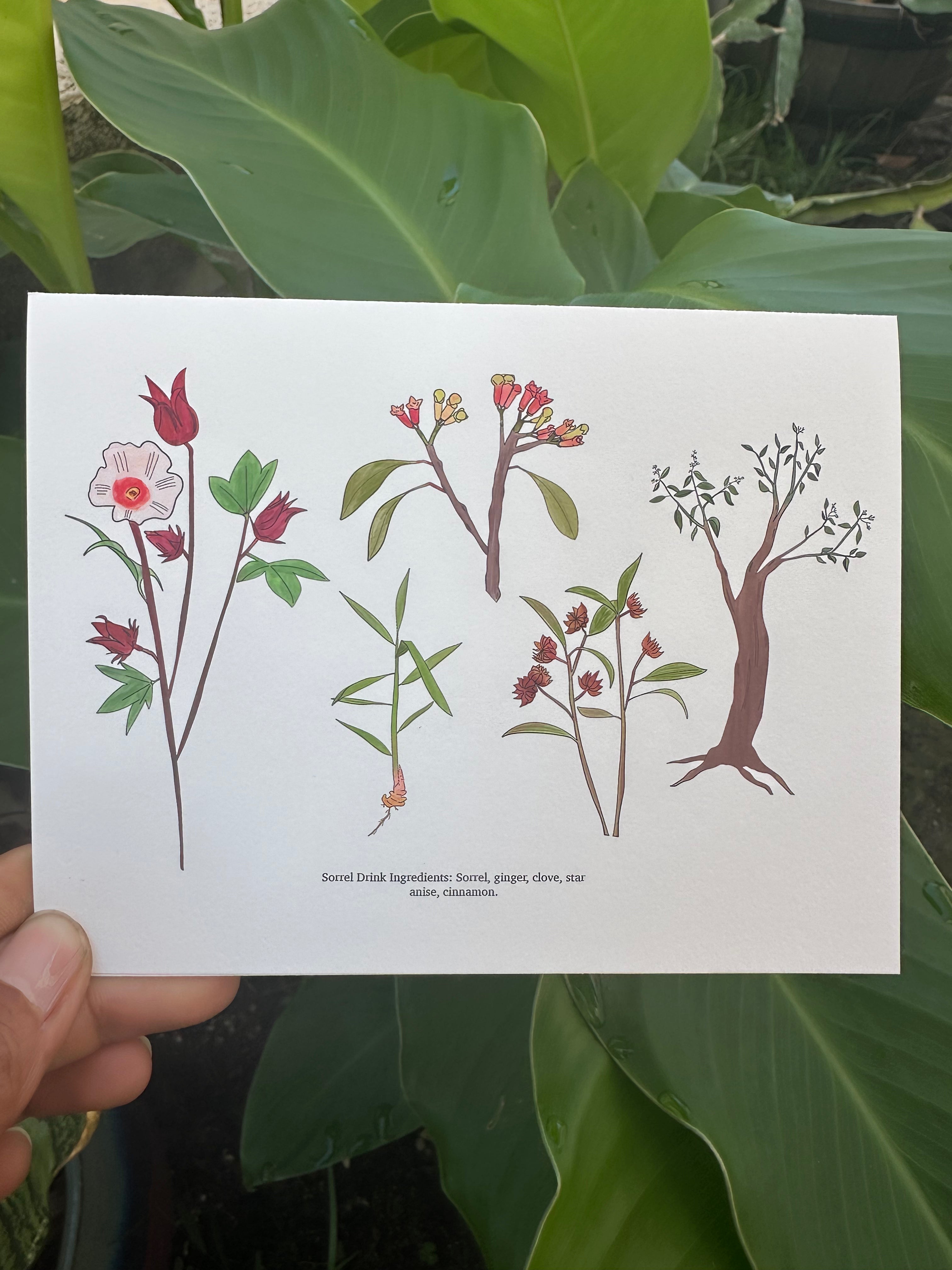 Greeting Cards