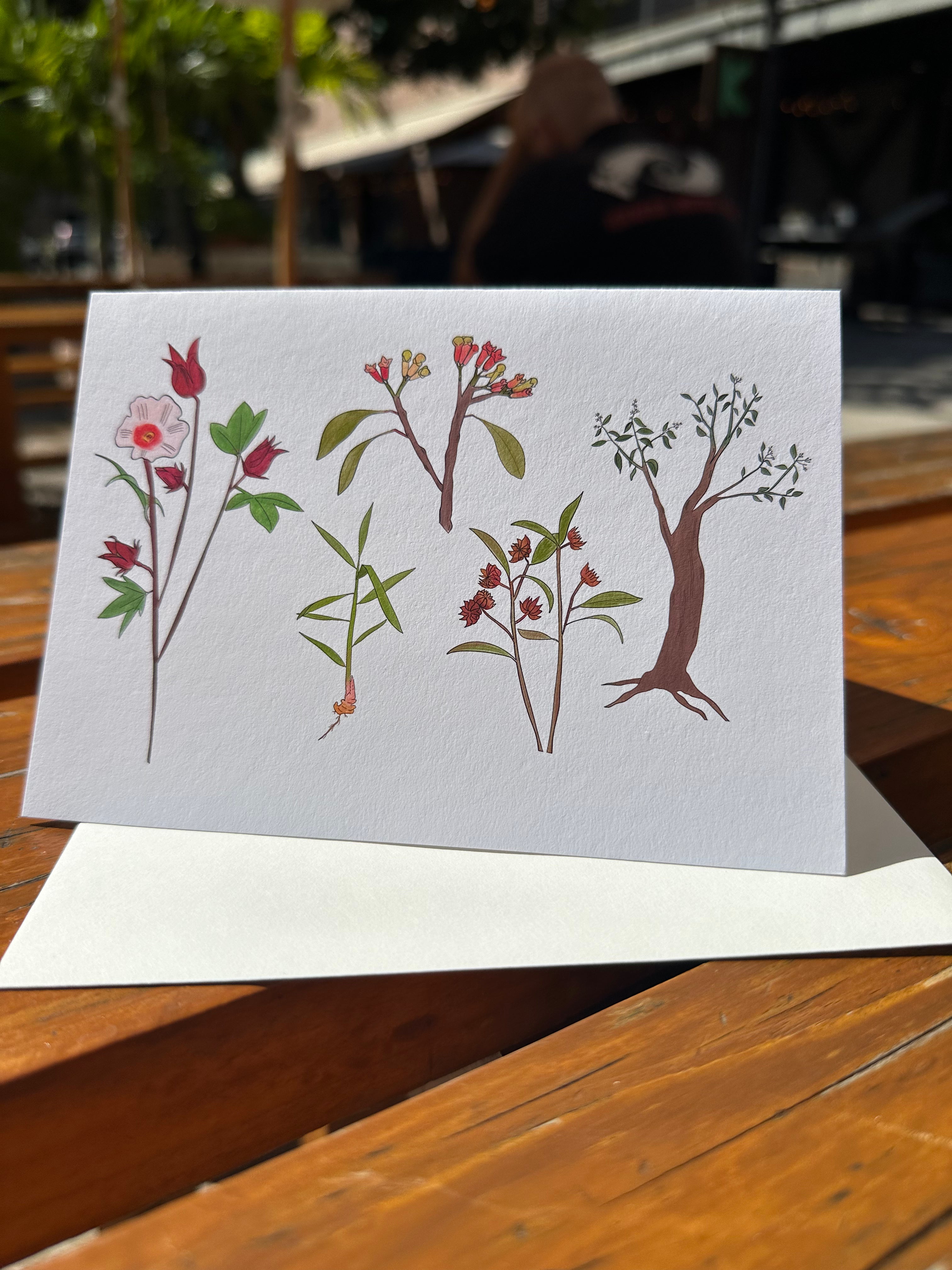 Greeting Cards